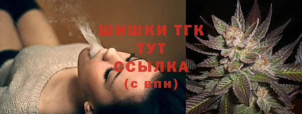 трава Аркадак