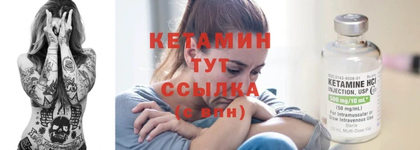 трава Аркадак