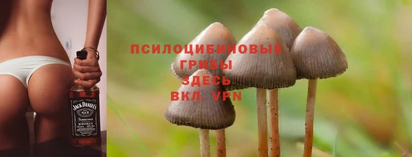 трава Аркадак