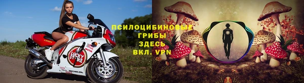 трава Аркадак