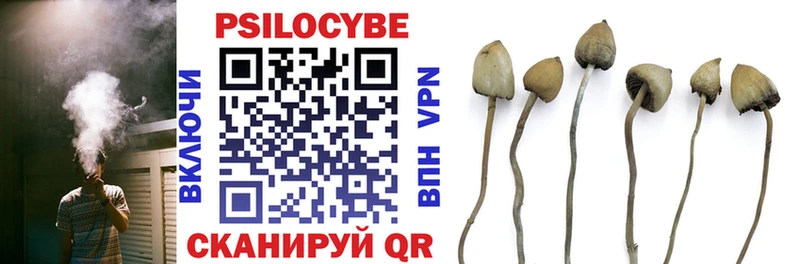 Псилоцибиновые грибы MAGIC MUSHROOMS  где найти   Удачный 